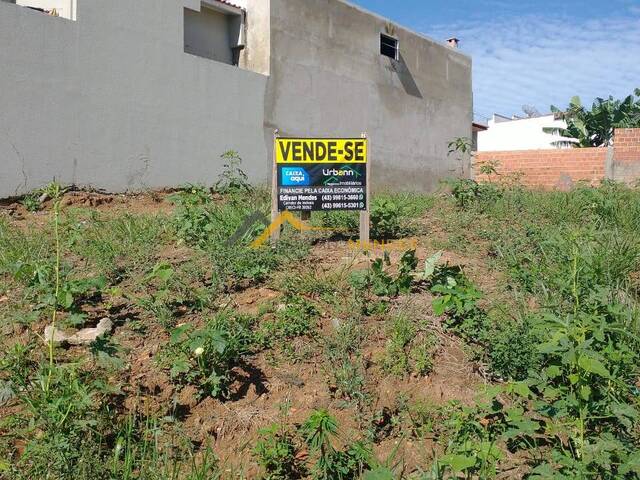 #18 - Terreno para Venda em Siqueira Campos - PR - 1