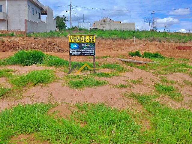#20 - Terreno para Venda em Siqueira Campos - PR - 1
