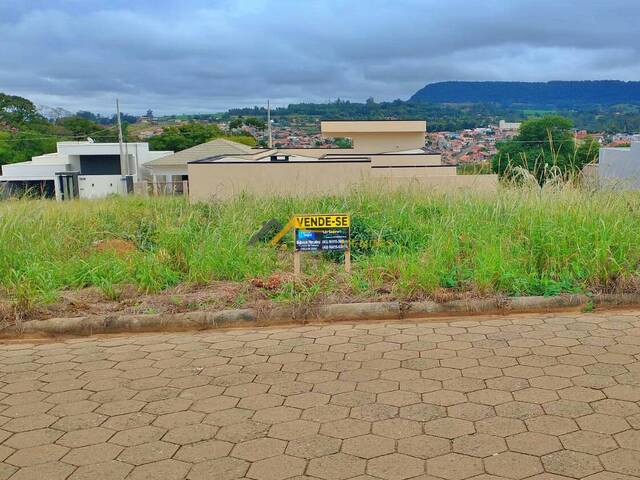 #22 - Terreno para Venda em Siqueira Campos - PR - 1