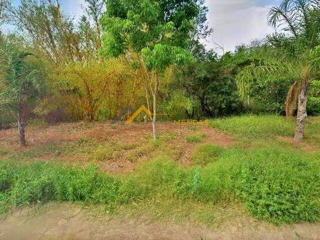 Terreno para Venda em Siqueira Campos - 4