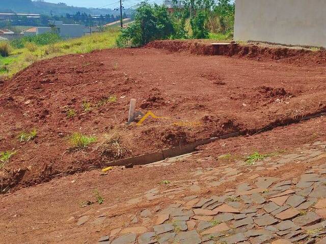 #31 - Área para Venda em Siqueira Campos - PR - 1