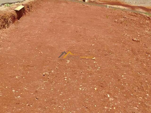 #31 - Área para Venda em Siqueira Campos - PR - 3
