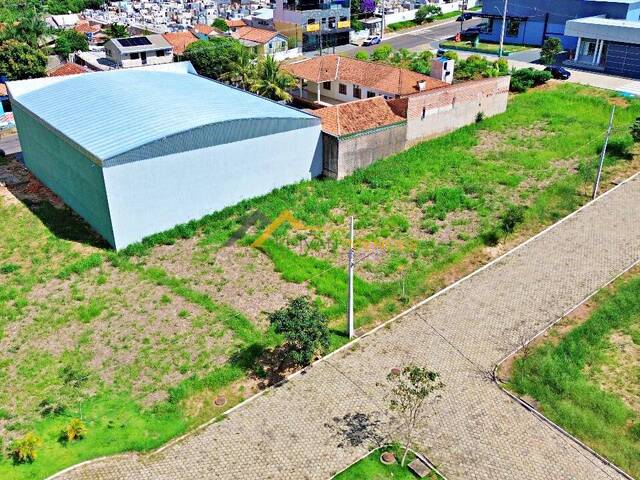 #33 - Terreno para Venda em Siqueira Campos - PR