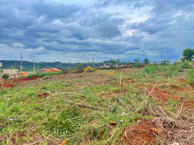 #35 - Terreno para Venda em Siqueira Campos - PR - 2