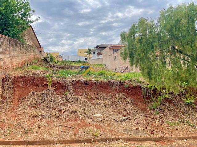 Venda em Santa Izabel - Siqueira Campos