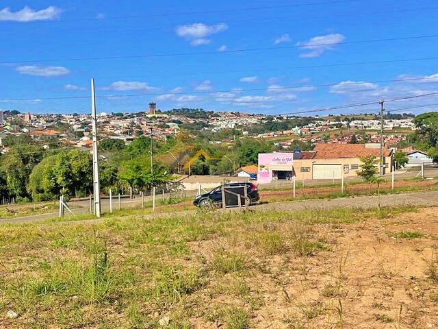 Terreno para Venda em Siqueira Campos - 4