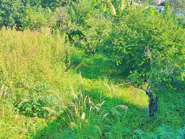 #20 - Terreno para Venda em Siqueira Campos - PR - 3