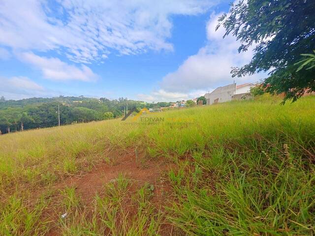 #22 - Terreno para Venda em Siqueira Campos - PR - 1