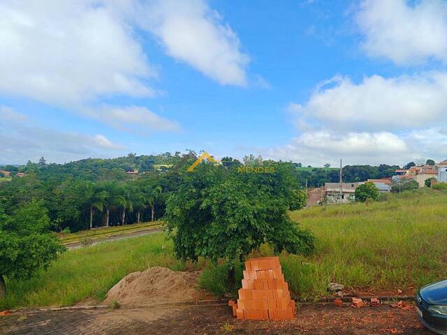#24 - Terreno para Venda em Siqueira Campos - PR - 1