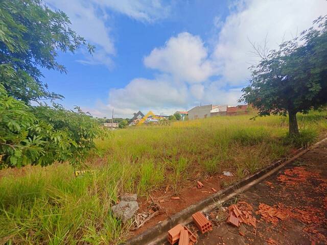 #06 - Terreno para Venda em Siqueira Campos - PR - 1