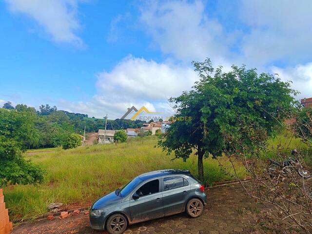 #06 - Terreno para Venda em Siqueira Campos - PR - 2