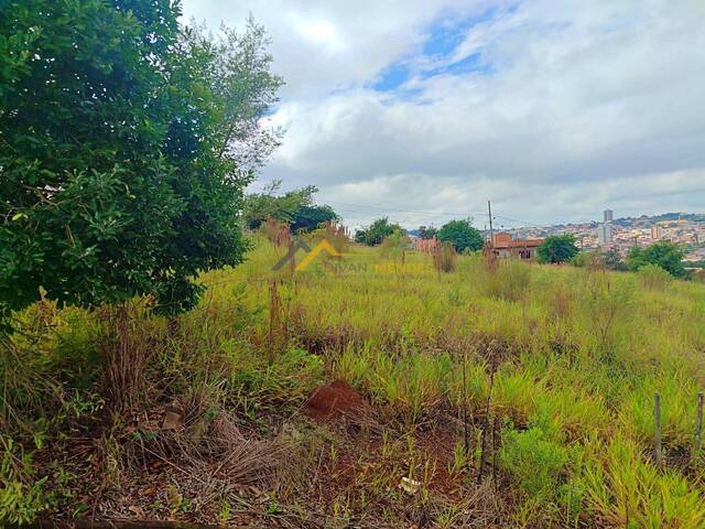 #03 - Terreno para Venda em Siqueira Campos - PR - 1
