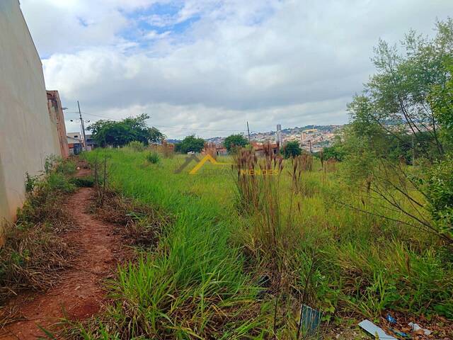#03 - Terreno para Venda em Siqueira Campos - PR - 2