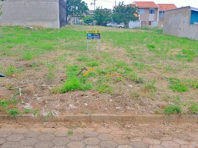 #13 - Terreno para Venda em Siqueira Campos - PR - 1